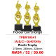 SPORT TROPHY TPEM19541