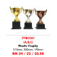 INDIVIDUAL TROPHY TPBG051