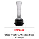 Glass Trophy w. Wooden Base ETEY2652