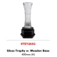 Glass Trophy w. Wooden Base ETEY2652