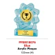 Acrylic Plaque PPEM18076