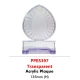 Acrylic Plaque PPES397
