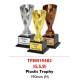 INDIVIDUAL TROPHY TPEM19482