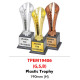 INDIVIDUAL TROPHY TPEM19406