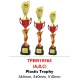 INDIVIDUAL TROPHY TPEM19565