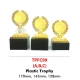 INDIVIDUAL TROPHY TPFC99