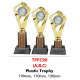 INDIVIDUAL TROPHY TPFC90