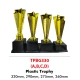 INDIVIDUAL TROPHY TPBG330