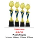 INDIVIDUAL TROPHY TPBG2314