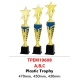 INDIVIDUAL TROPHY TPEM19608