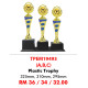 INDIVIDUAL TROPHY TPEM19493