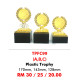 INDIVIDUAL TROPHY TPFC99