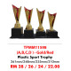 INDIVIDUAL TROPHY TPMM11598