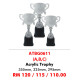 ACRYLIC TROPHY ATBG0611
