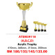 ACRYLIC TROPHY ATEM39118