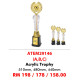 ACRYLIC TROPHY ATEM29146