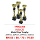 Metal Individual Trophy TPBG2300