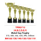 Metal Individual Trophy TPBG712