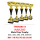 Metal Individual Trophy TPEM38315