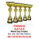 Metal Individual Trophy TPEM38336