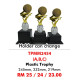 SPORT TROPHY TPMM2454