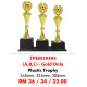 SPORT TROPHY TPEM19495