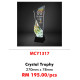 Crystal Trophy MCY1317