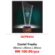 Crystal Trophy GCP9352