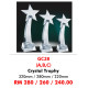 Crystal Trophy GC28
