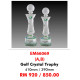 Crystal Trophy EM66069