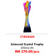 Crystal Trophy CYES5021