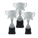 Acrylic Trophy