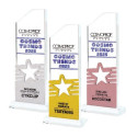 Crystal Trophy